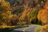 motorcycle on a winding road surrounded by colorful fall trees